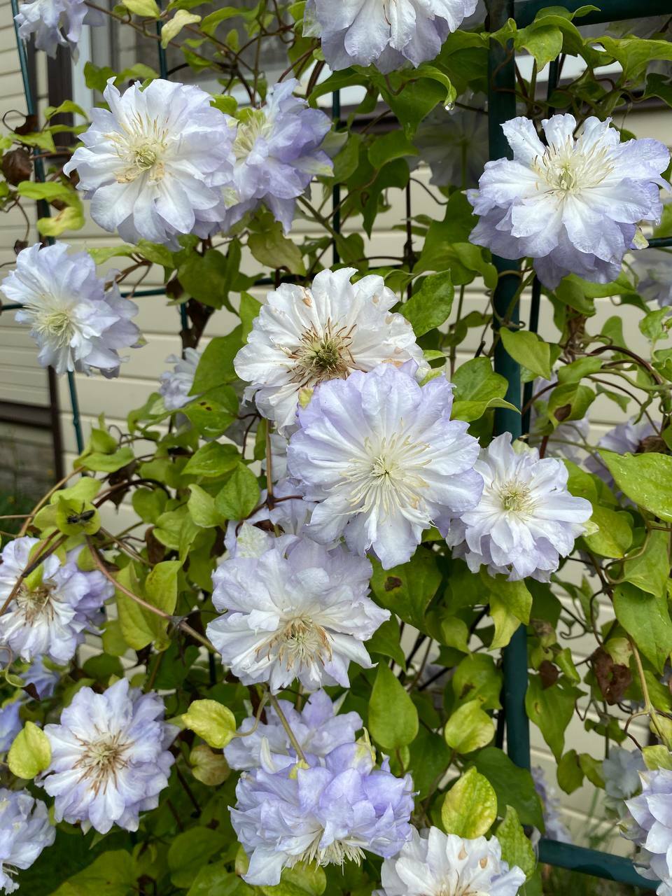 Гармония в каждой детали