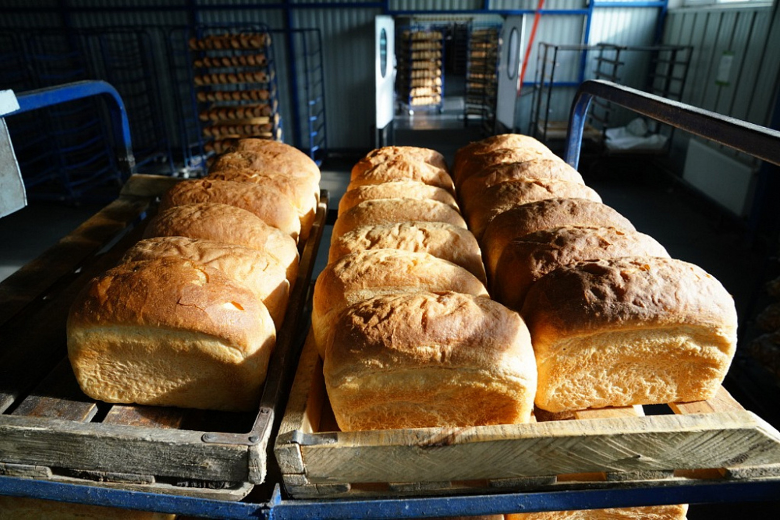Радий Хабиров ознакомился с новыми проектами предприятия «Благовещенский хлеб»
