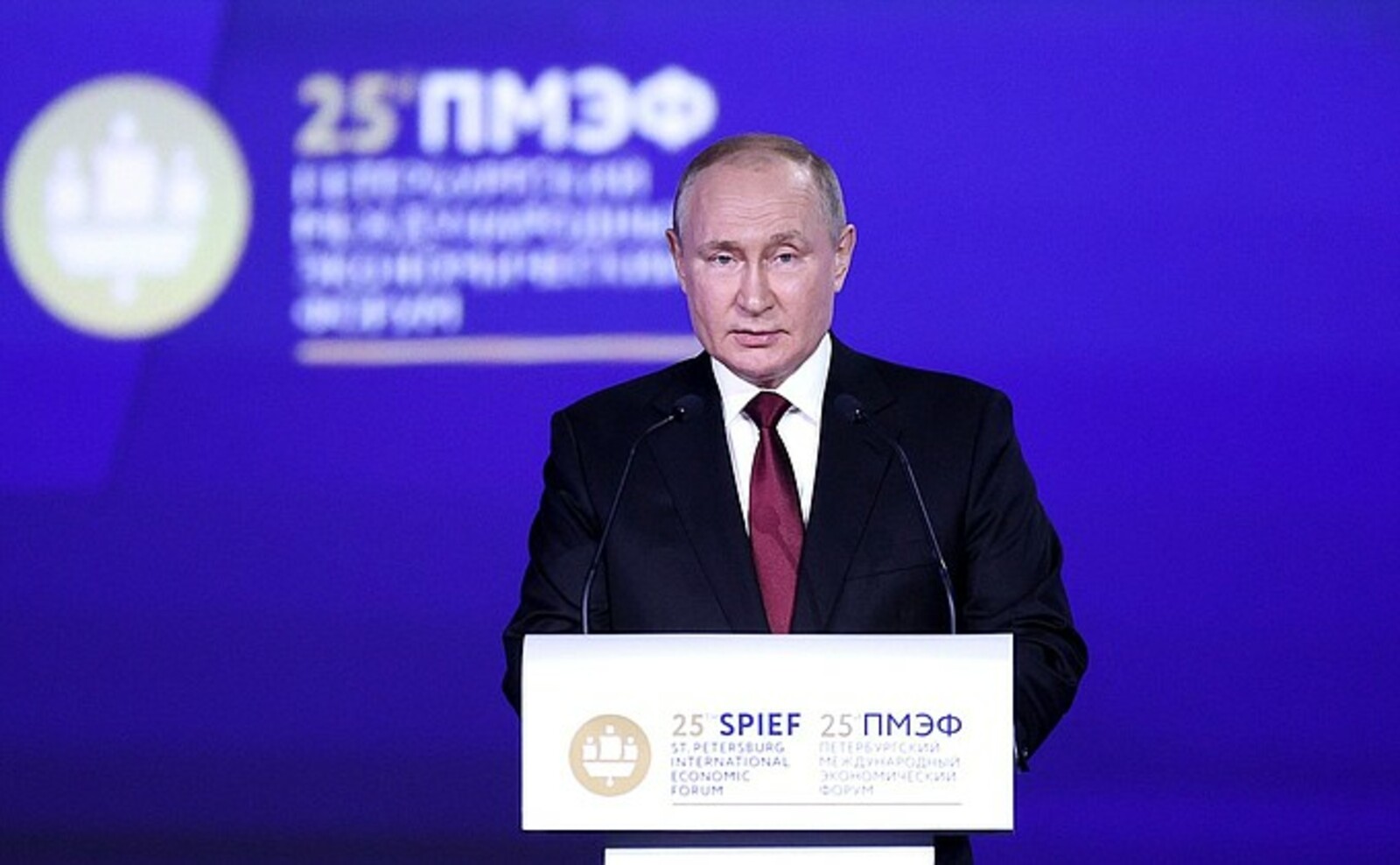 В Путин принял участие в пленарном заседании Петербургского международного экономического форума