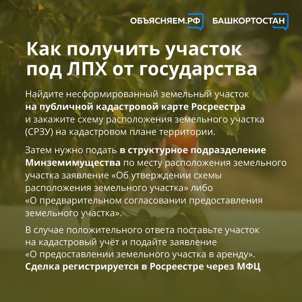 Как оформить личное подсобное хозяйство в Башкортостане