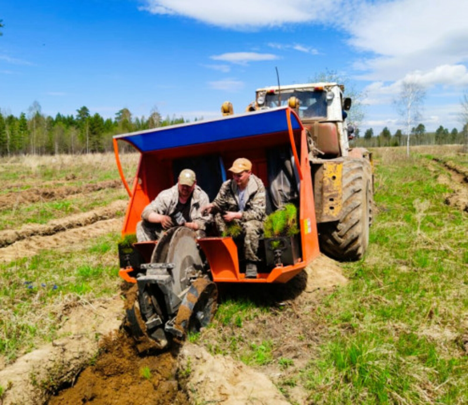 В Башкортостане перевыполнен объем весенних лесокультурных работ