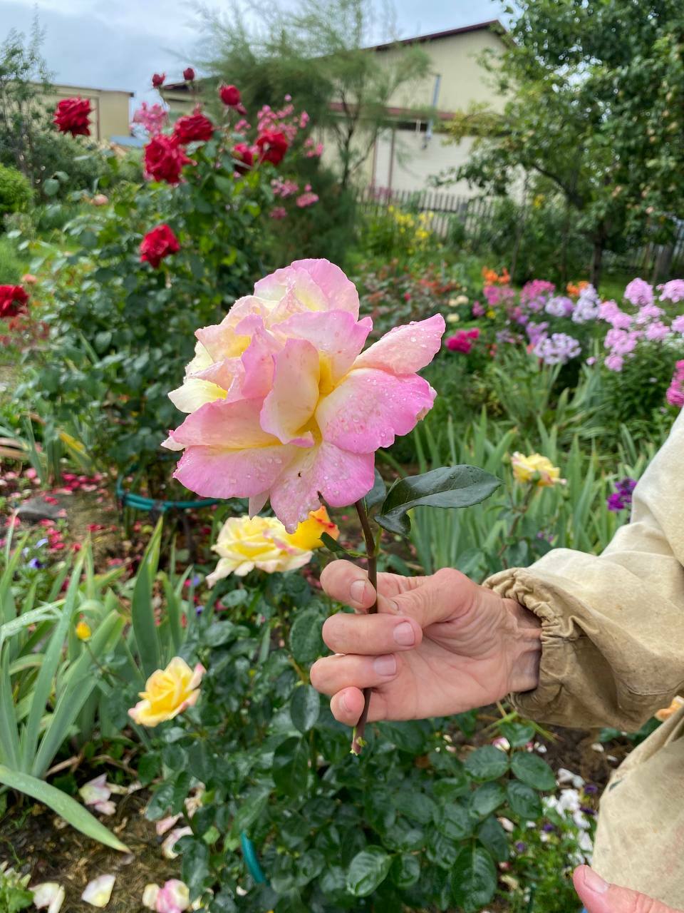Гармония в каждой детали