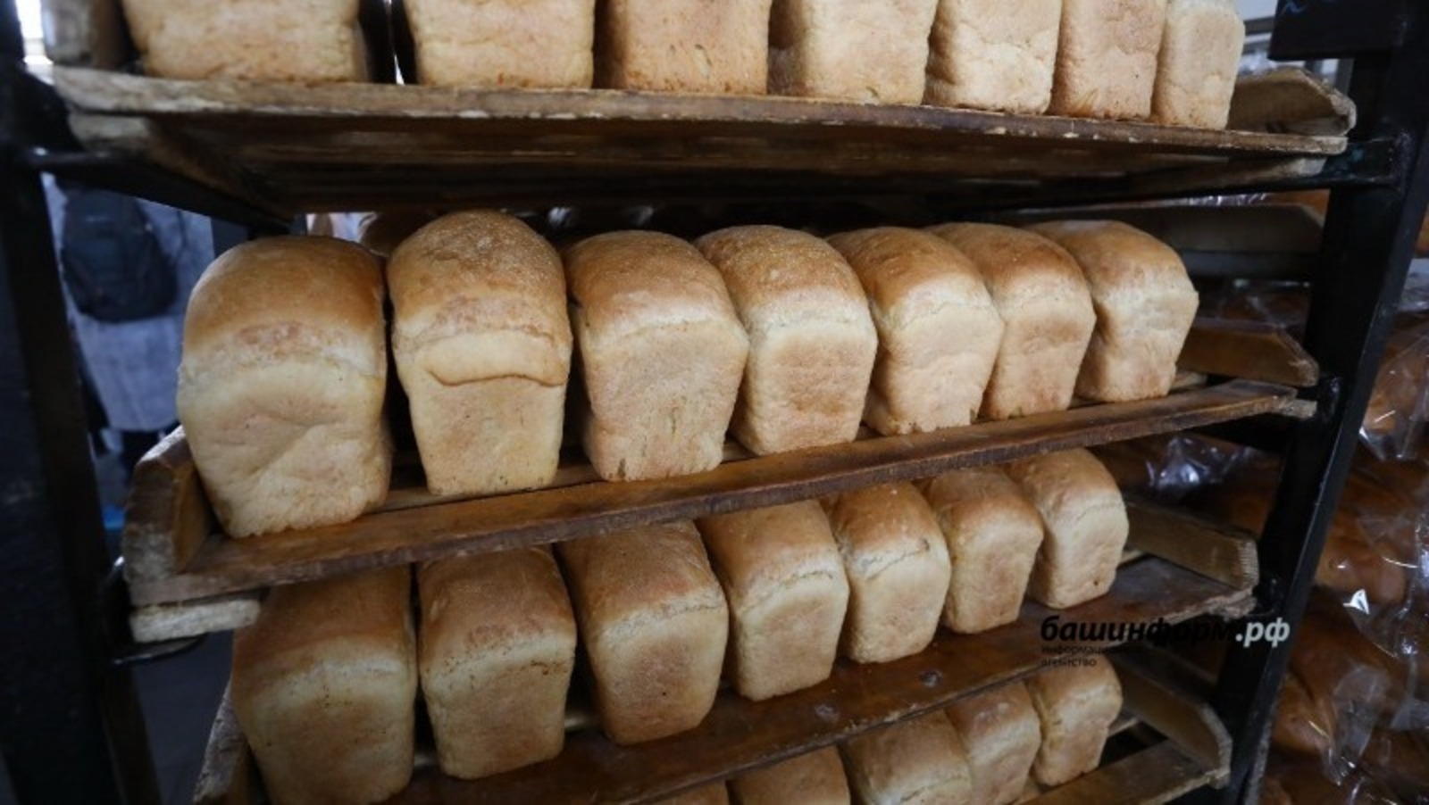 Хлеба в Башкирии достаточно и он не подорожает - Фазрахманов