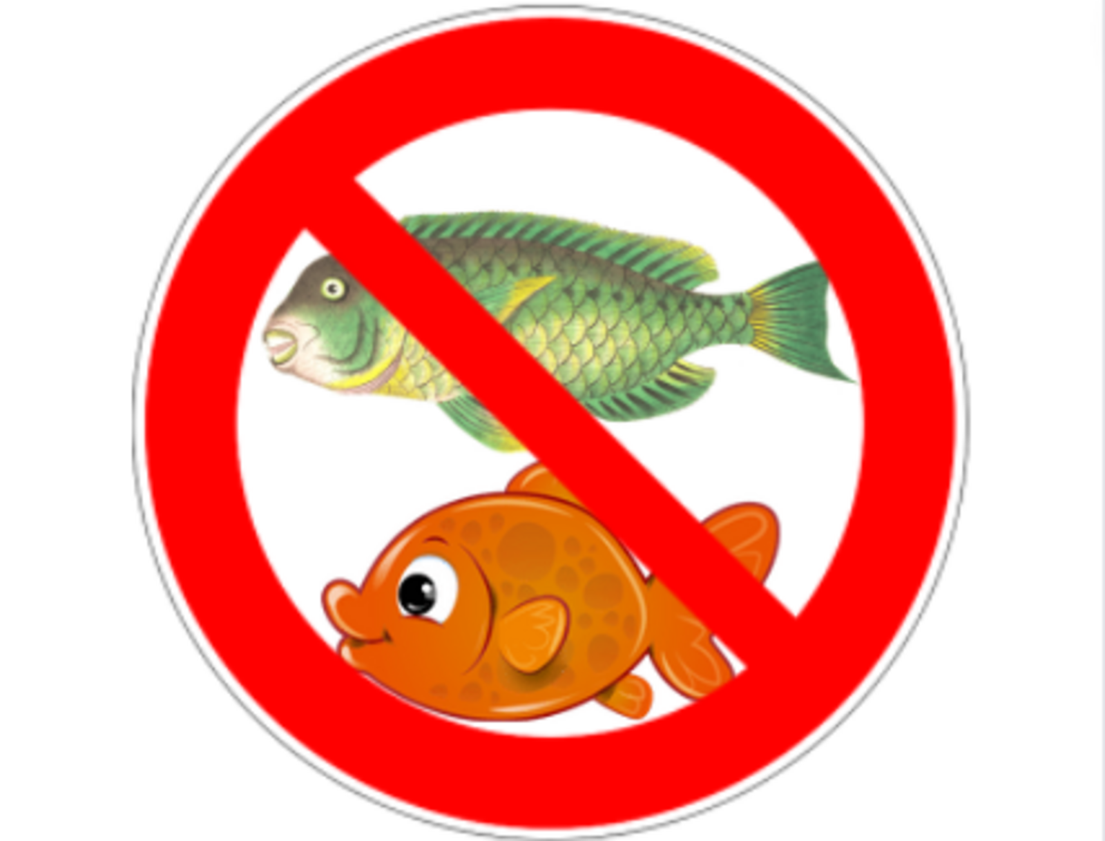 В Башкирии с 25 апреля запрещена рыбалка
