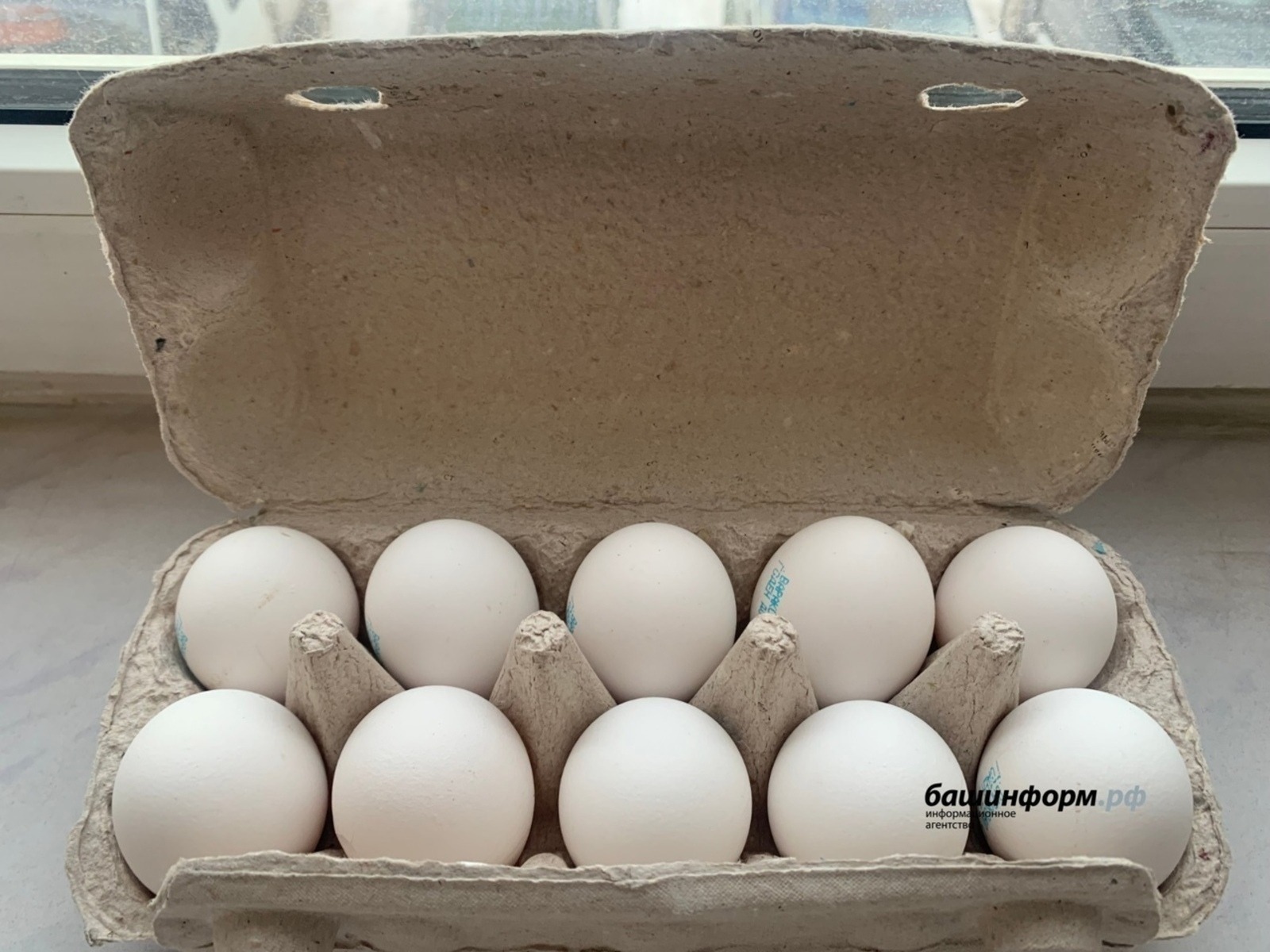 ФАС проверяет «Магнит», «Пятерочка» и другие крупные торговые сети из-за роста цен на яйца
