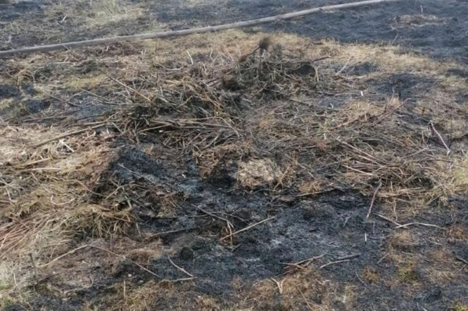 В Башкирии из-за возгорания сухой травы погиб пожилой мужчина