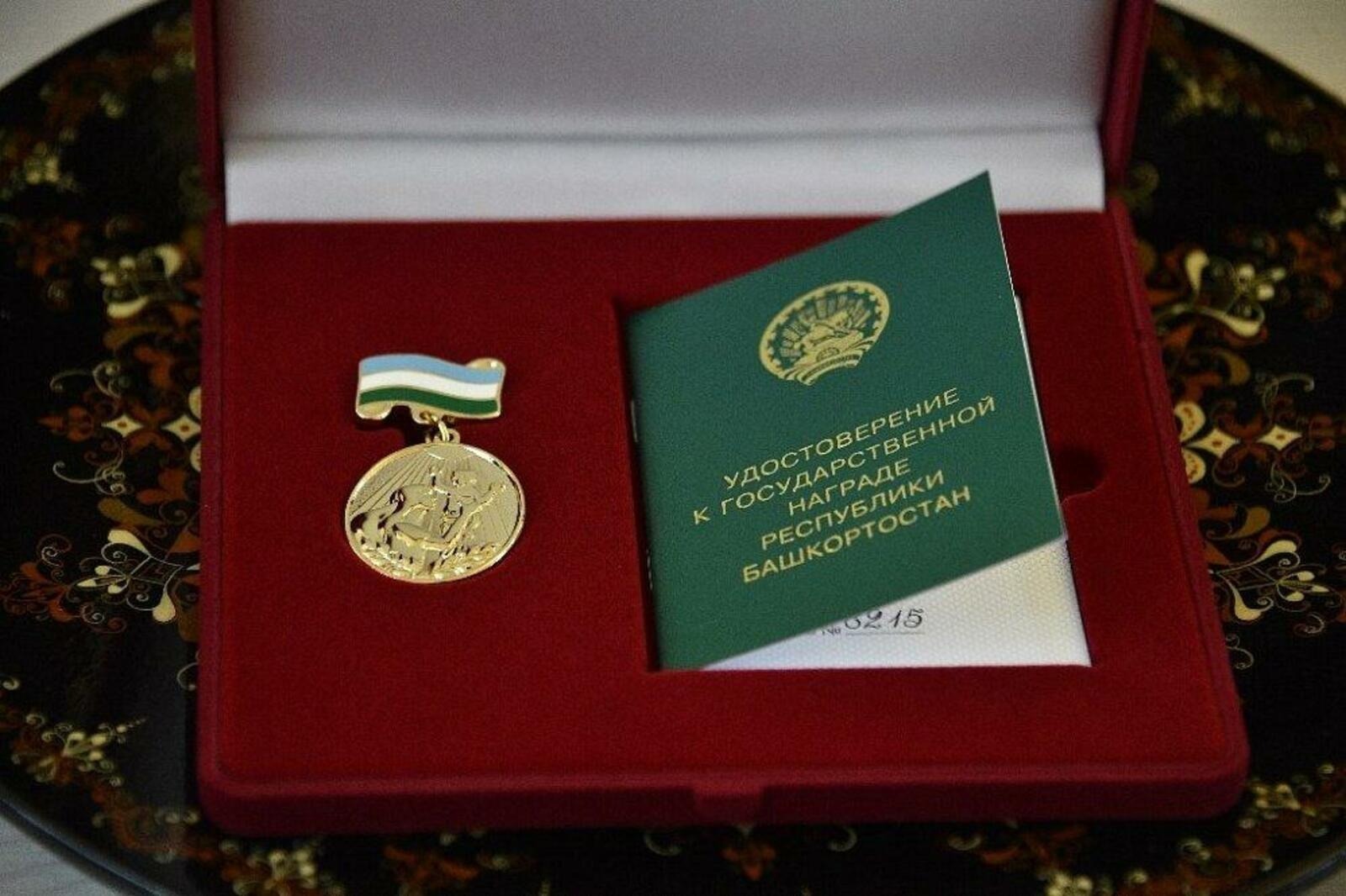 В Башкирии 17 многодетных мам наградят медалями «Материнская слава»
