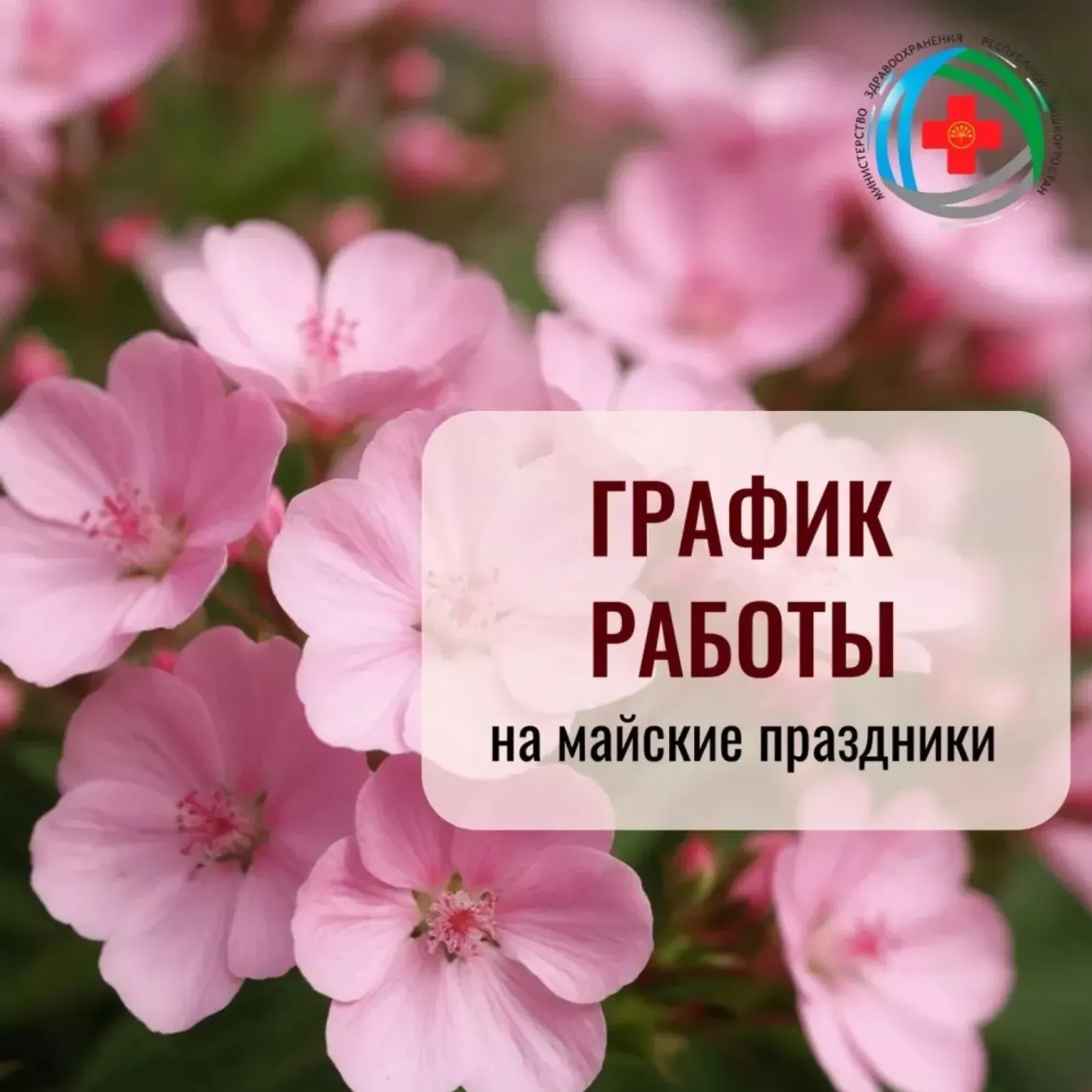 Как будут работать больницы Башкирии в майские праздники