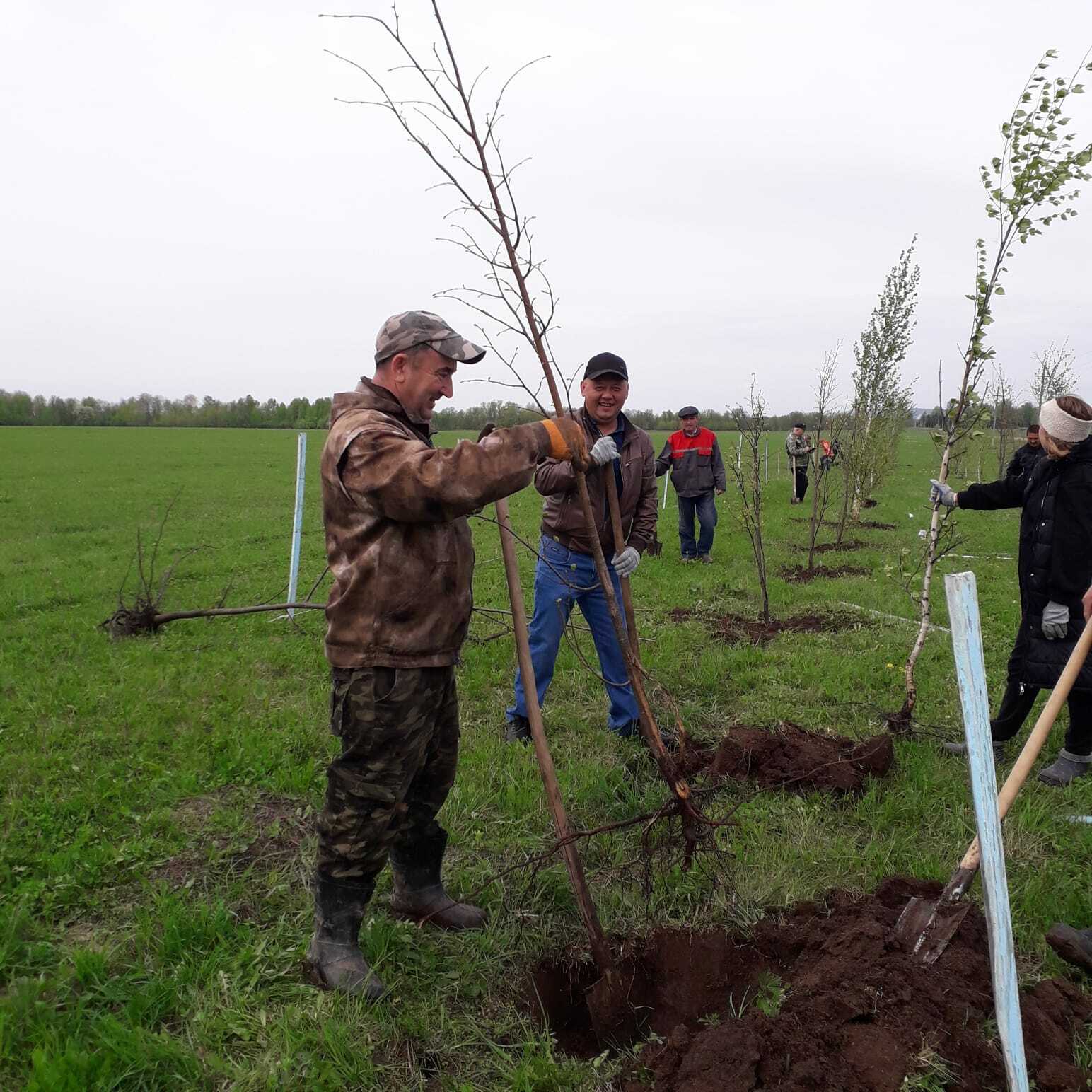 Жители Липовского СП присоединились к акции «Зеленая Башкирия»