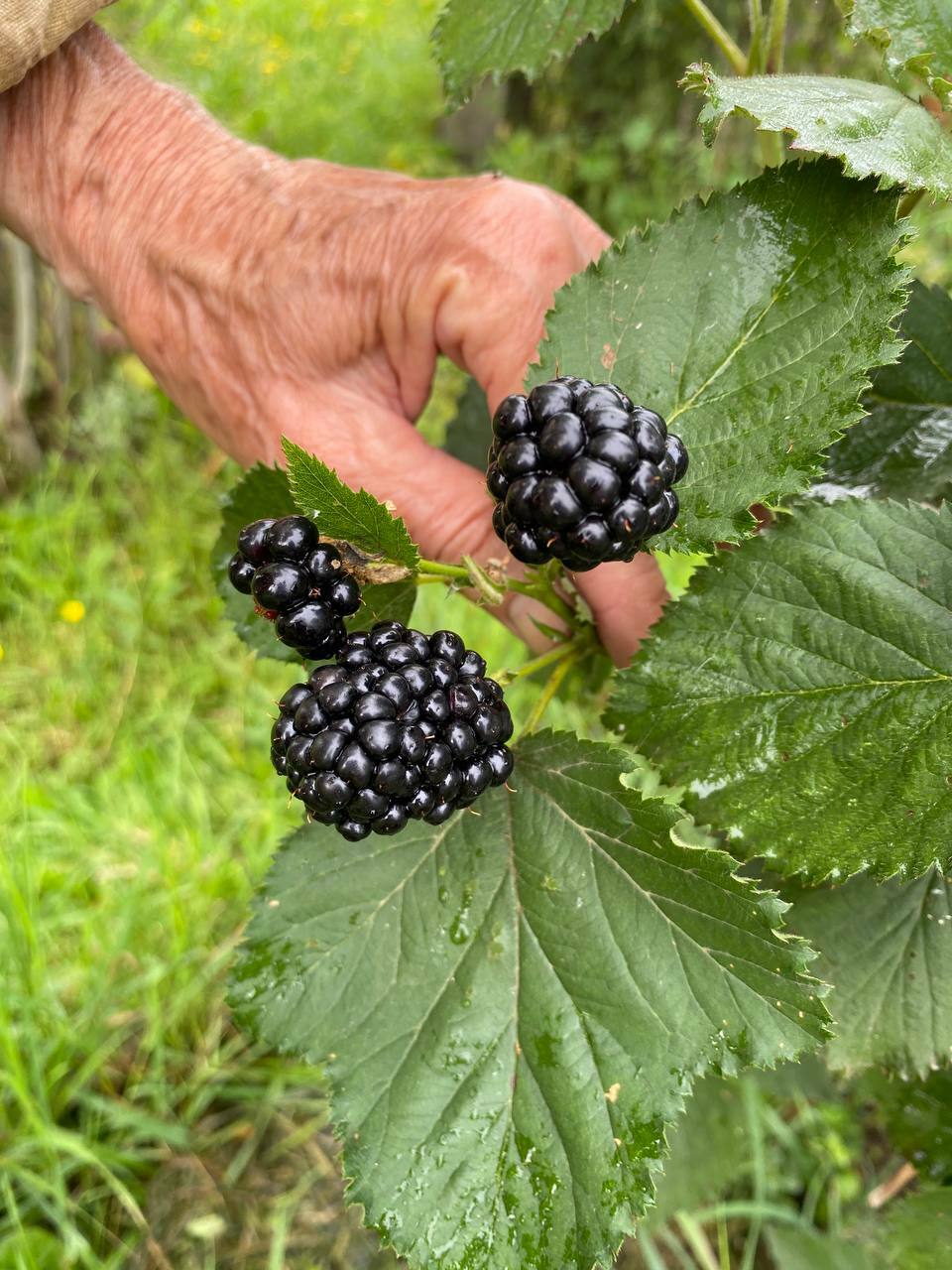 Гармония в каждой детали
