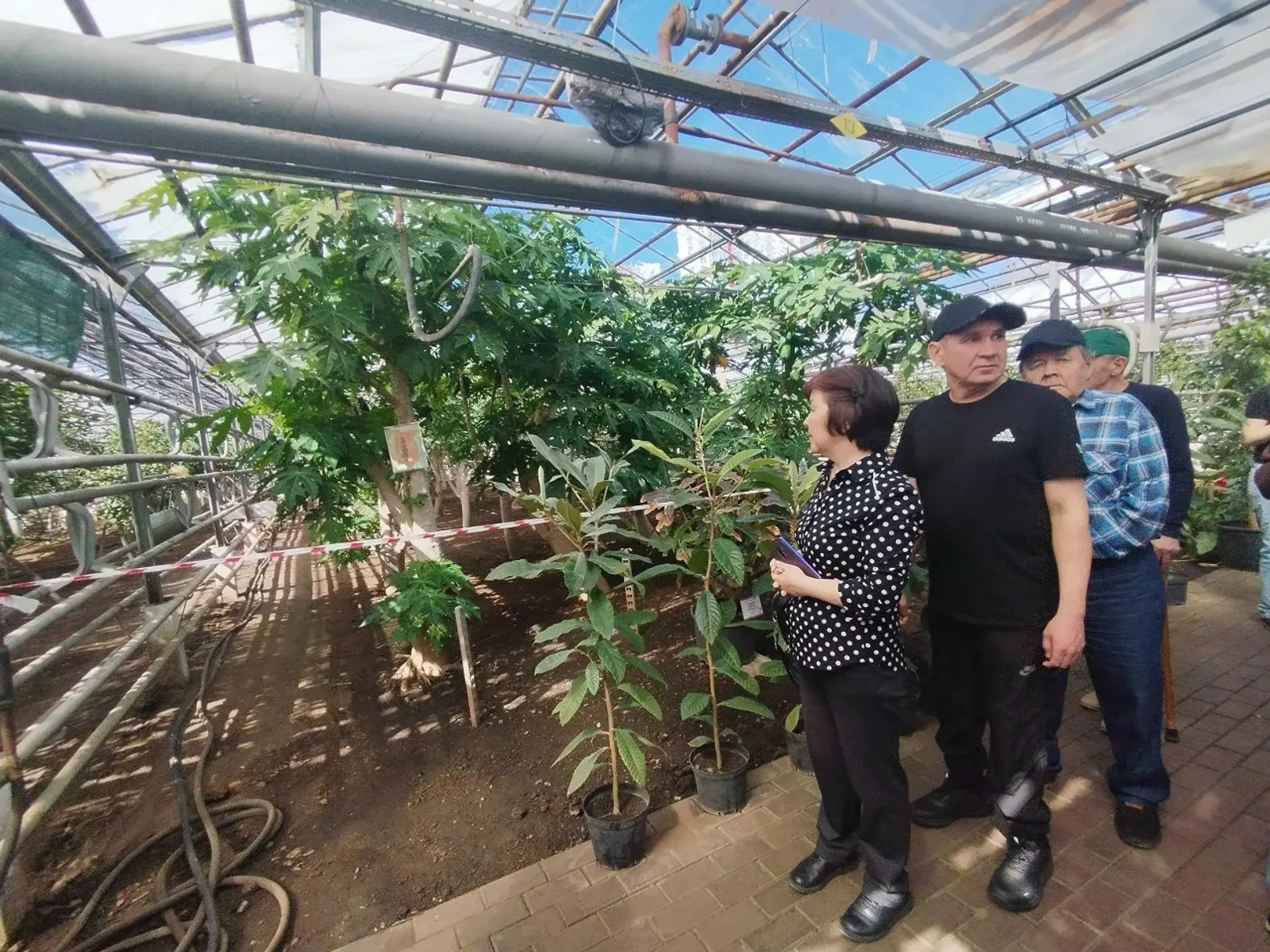 Путешествие в тропическую сказку