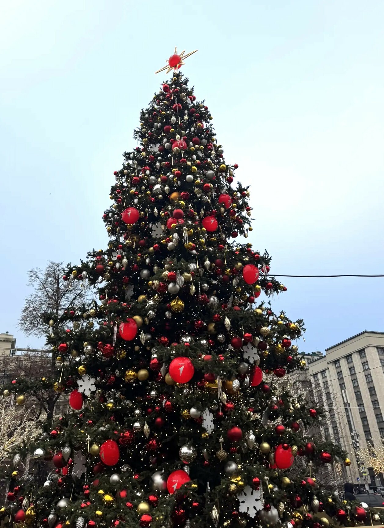 Московские приключения школьников