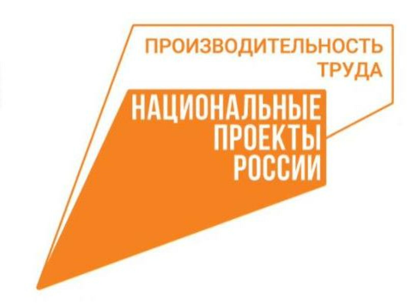 Башкортостан в числе регионов-лидеров по числу участников программы «Лидеры производительности»