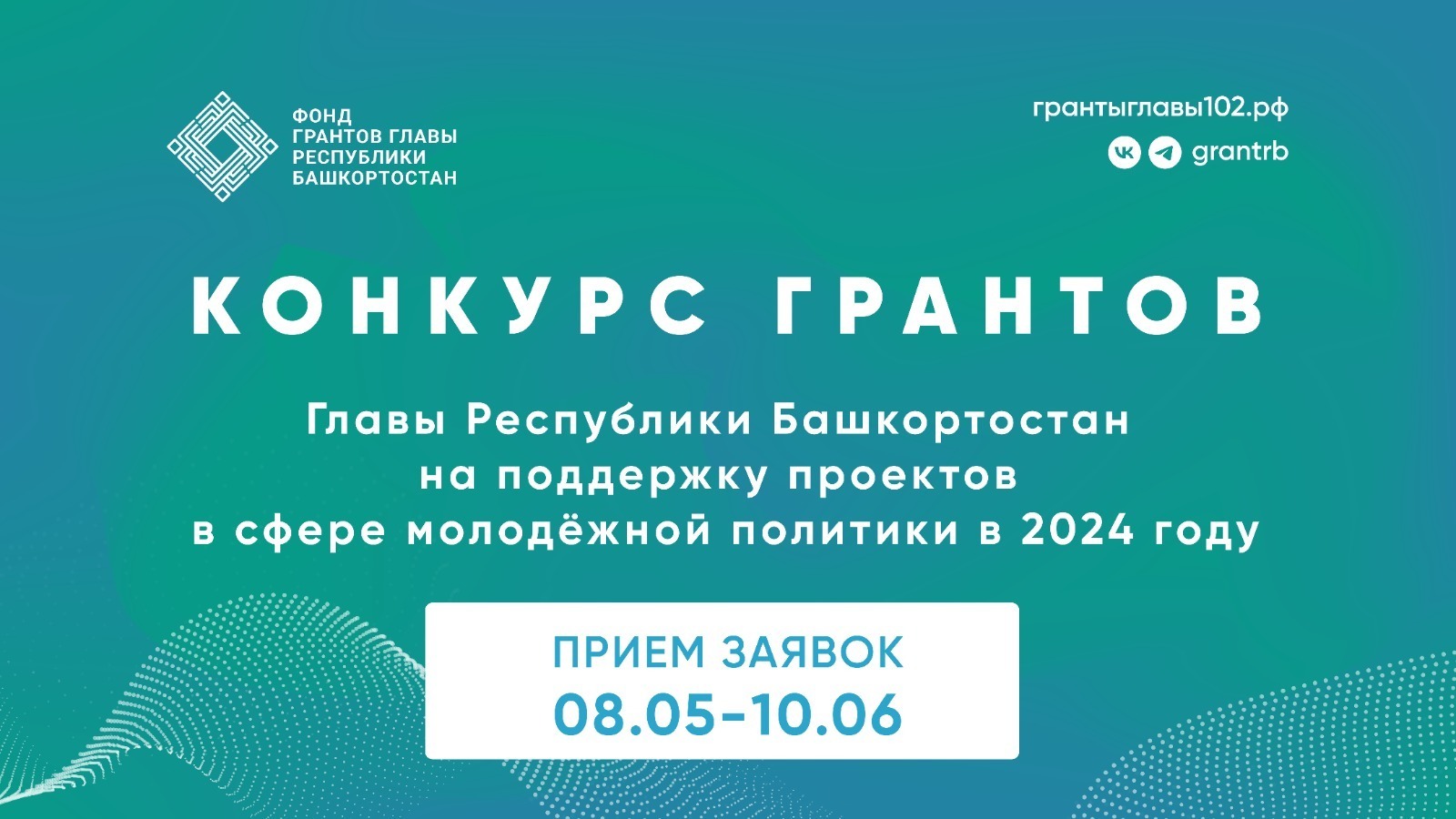 Стартовал Конкурс грантов Главы Республики Башкортостан на поддержку проектов в сфере молодежной политики в 2024 году