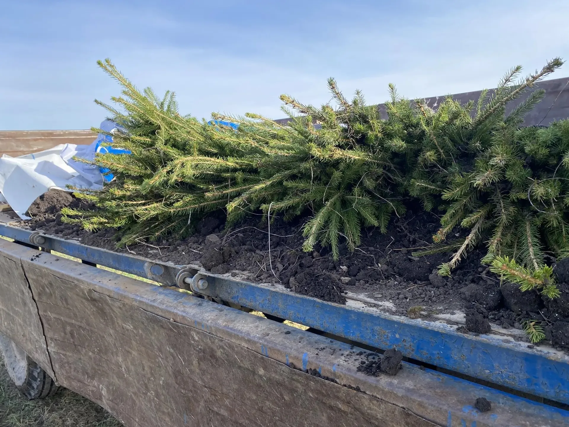 Экологический энтузиазм