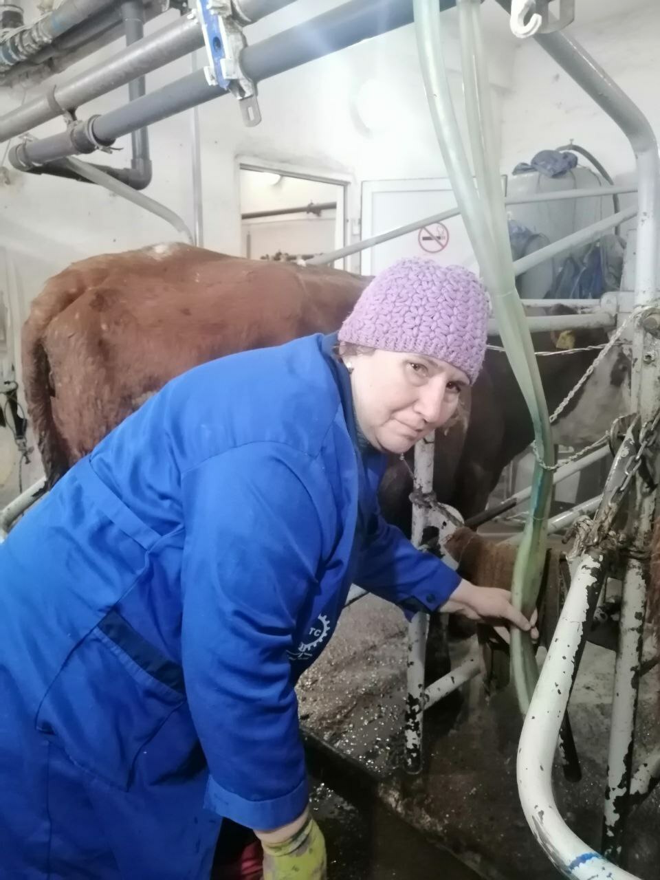 Будни фермы АО МТС Центральная в д.Красный Зилим