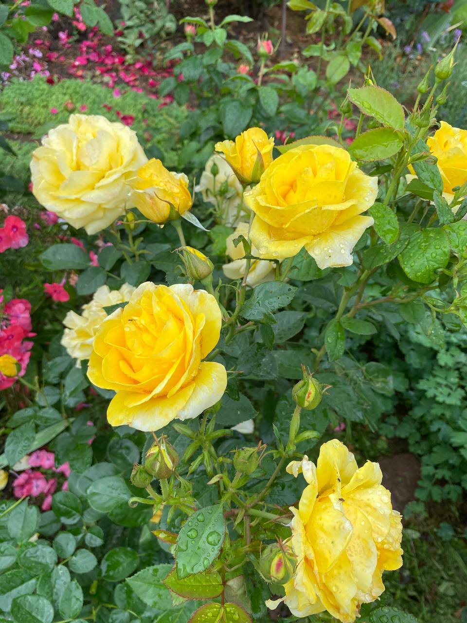 Гармония в каждой детали