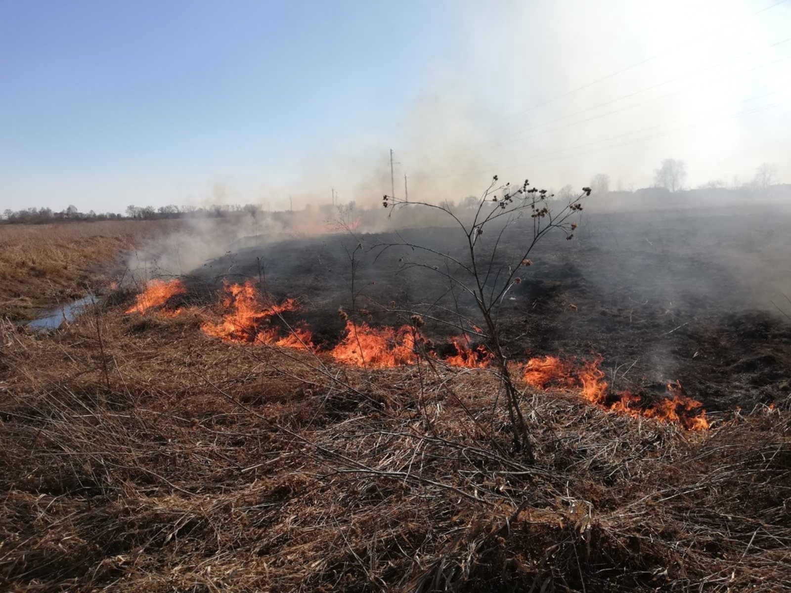 В Башкортостане с начала 2024 года произошло 1613  (!) пожаров
