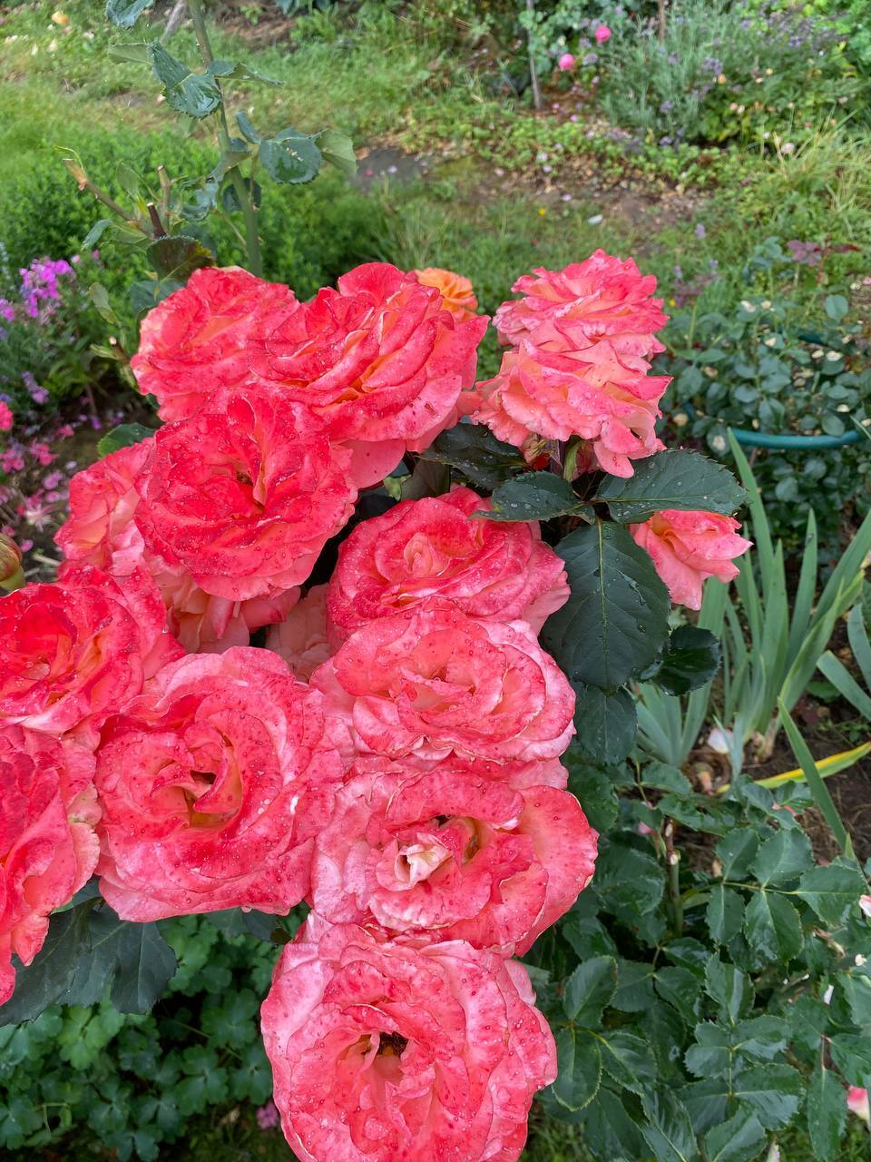 Гармония в каждой детали