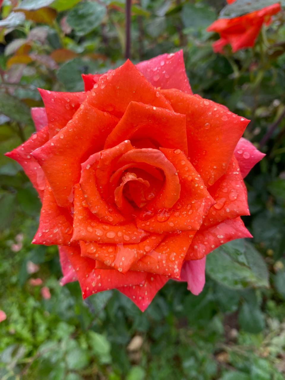 Гармония в каждой детали