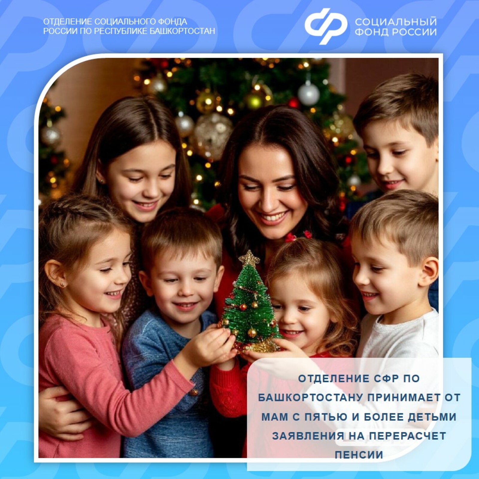 СФР  принимает от мам с пятью и более детьми заявления на перерасчет пенсии