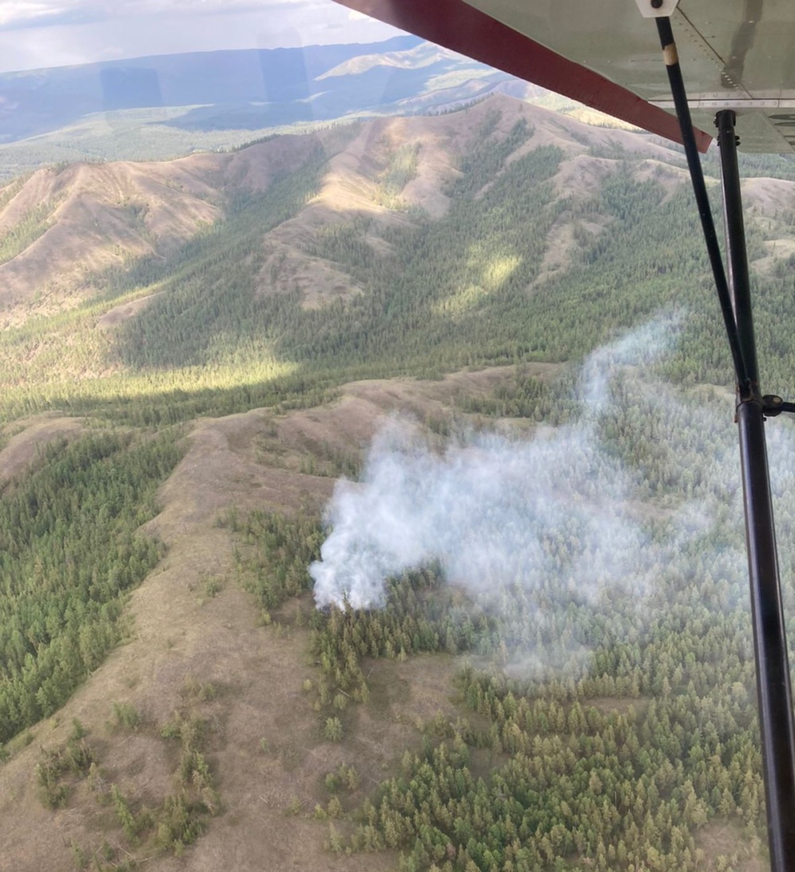 В Белорецком районе Башкирии тушат лесной пожар
