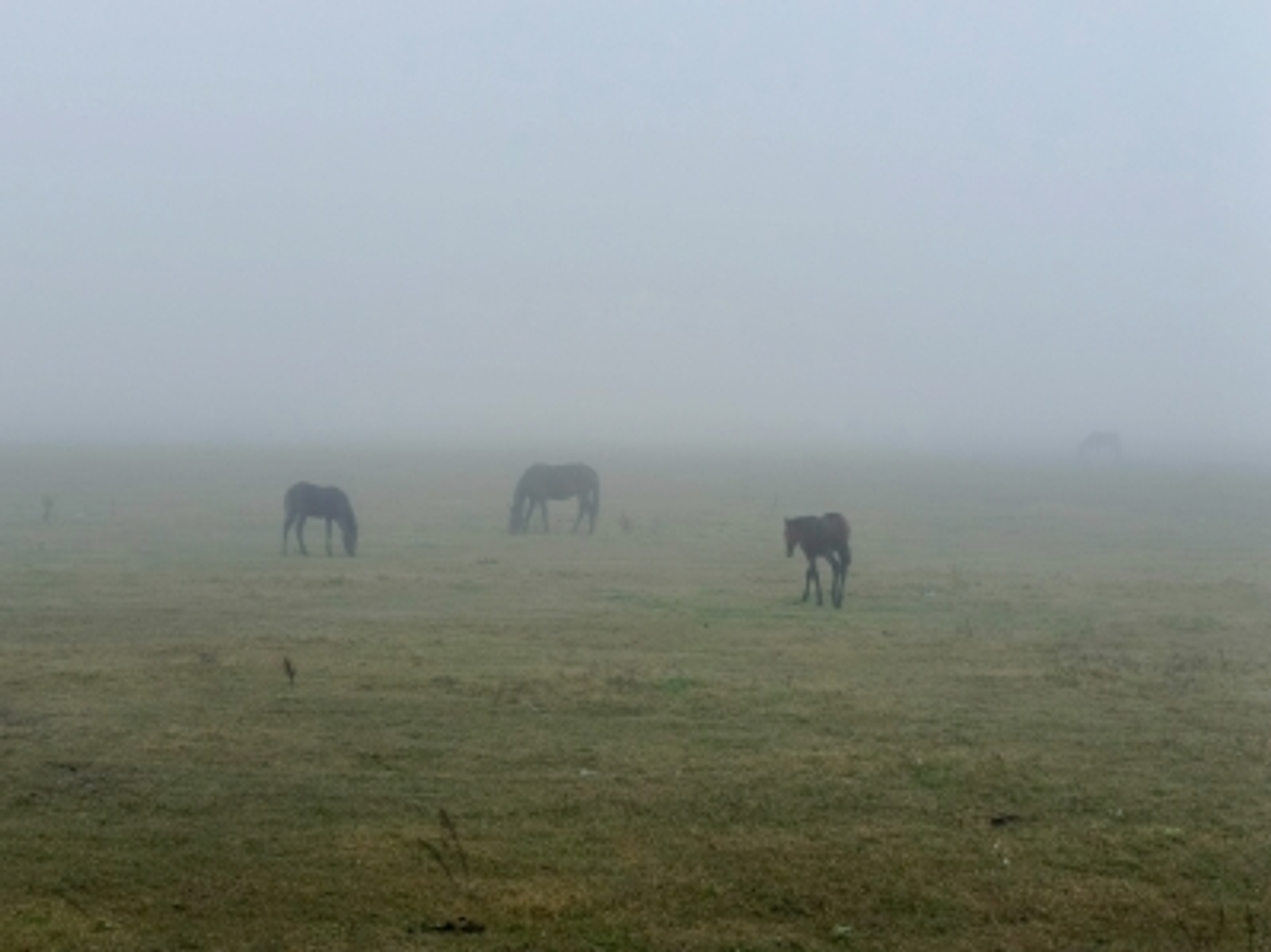 Жителей Башкирии предупредили о похолодании и ливнях