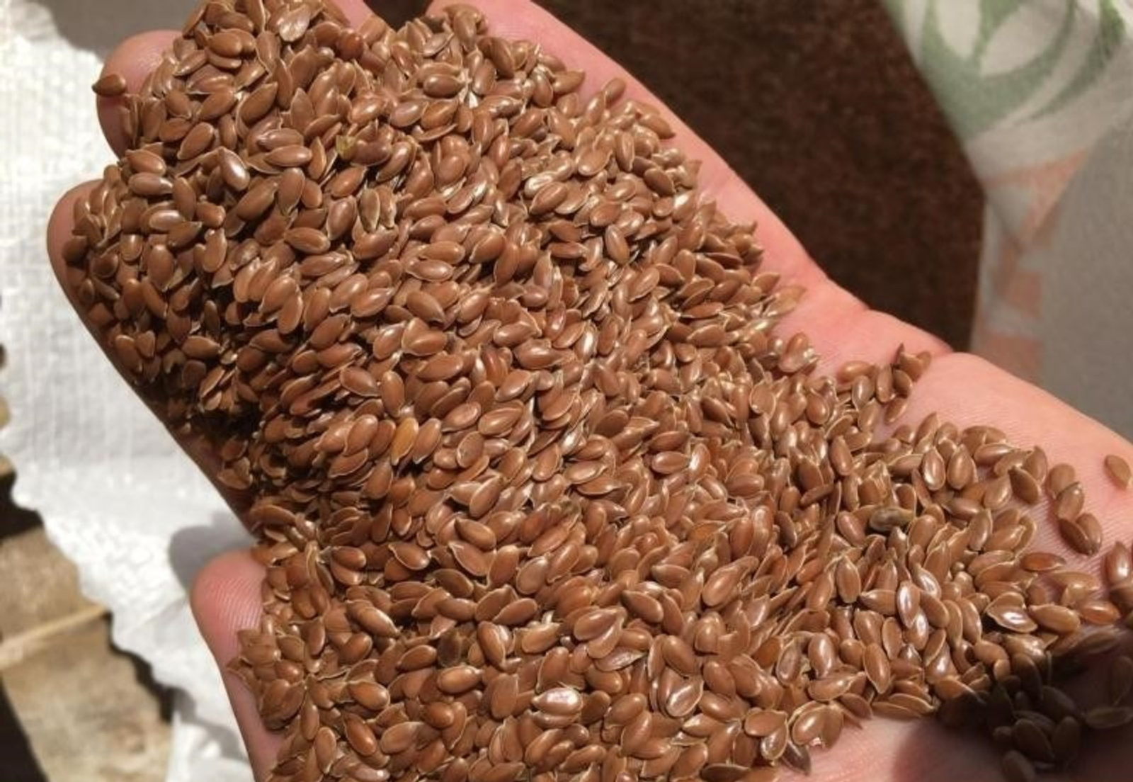 Башкирия экспортировала в Казахстан крупную партию льна