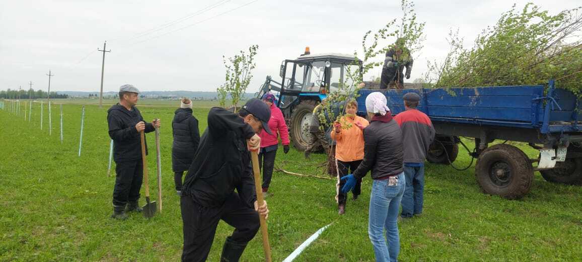 Жители Липовского СП присоединились к акции «Зеленая Башкирия»