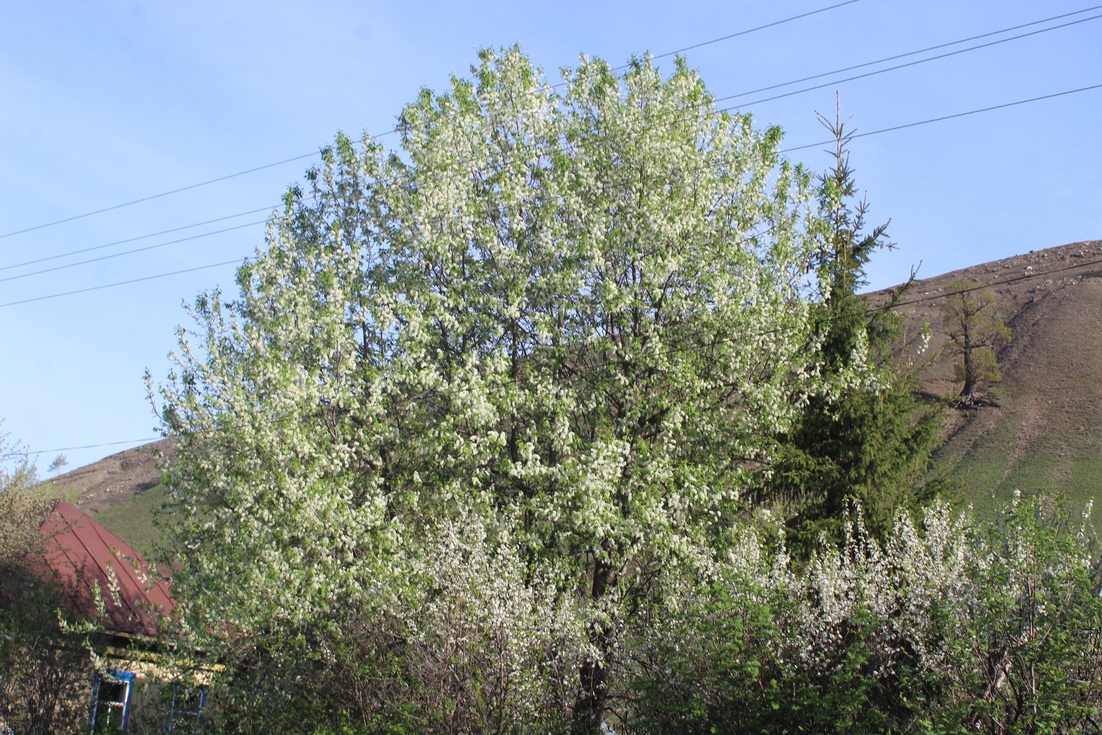 В Башкирии потеплеет до +15°