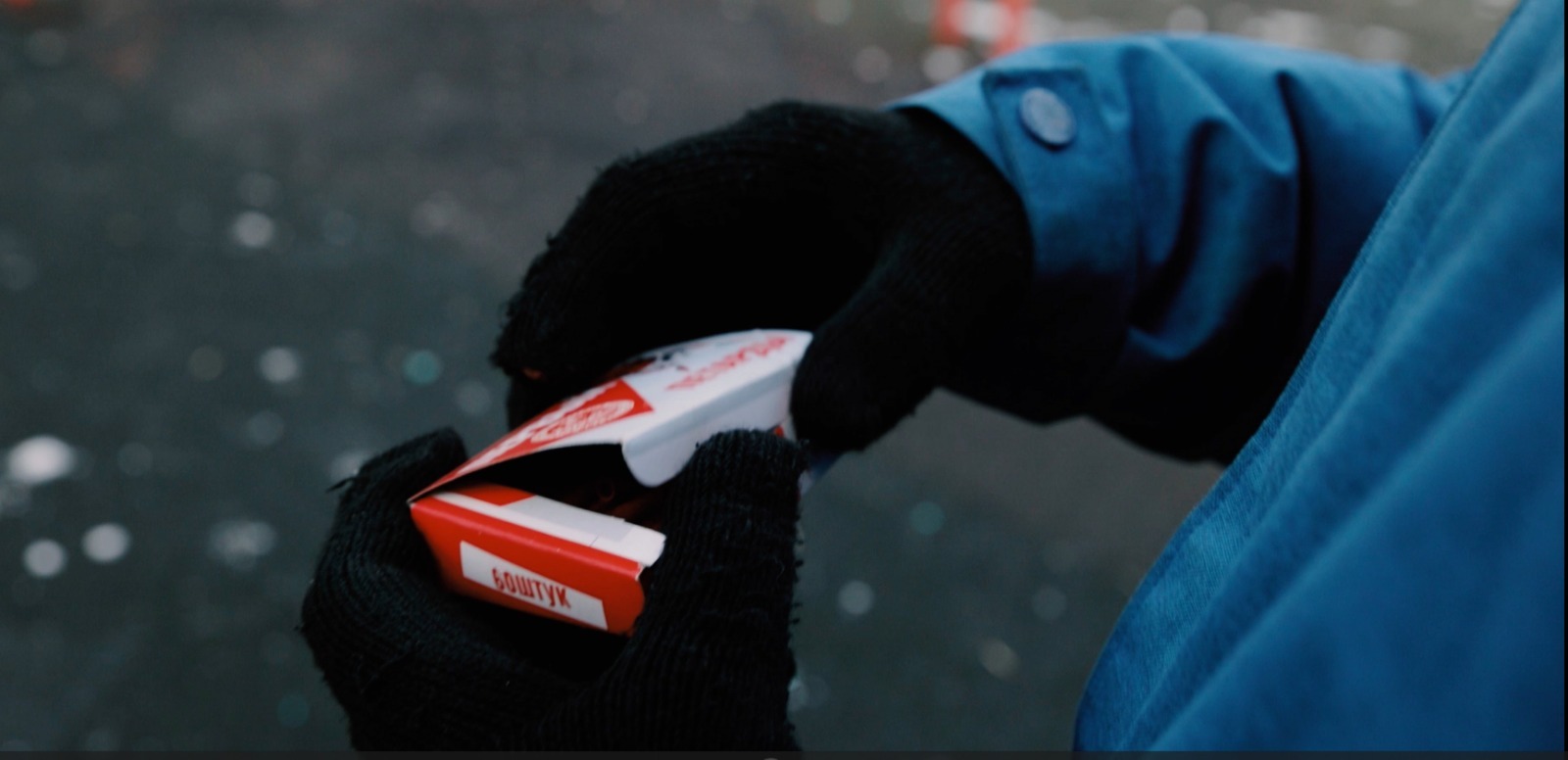 Куркова Ирина