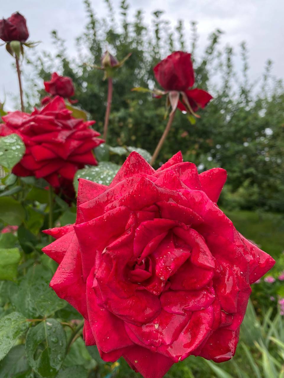 Гармония в каждой детали