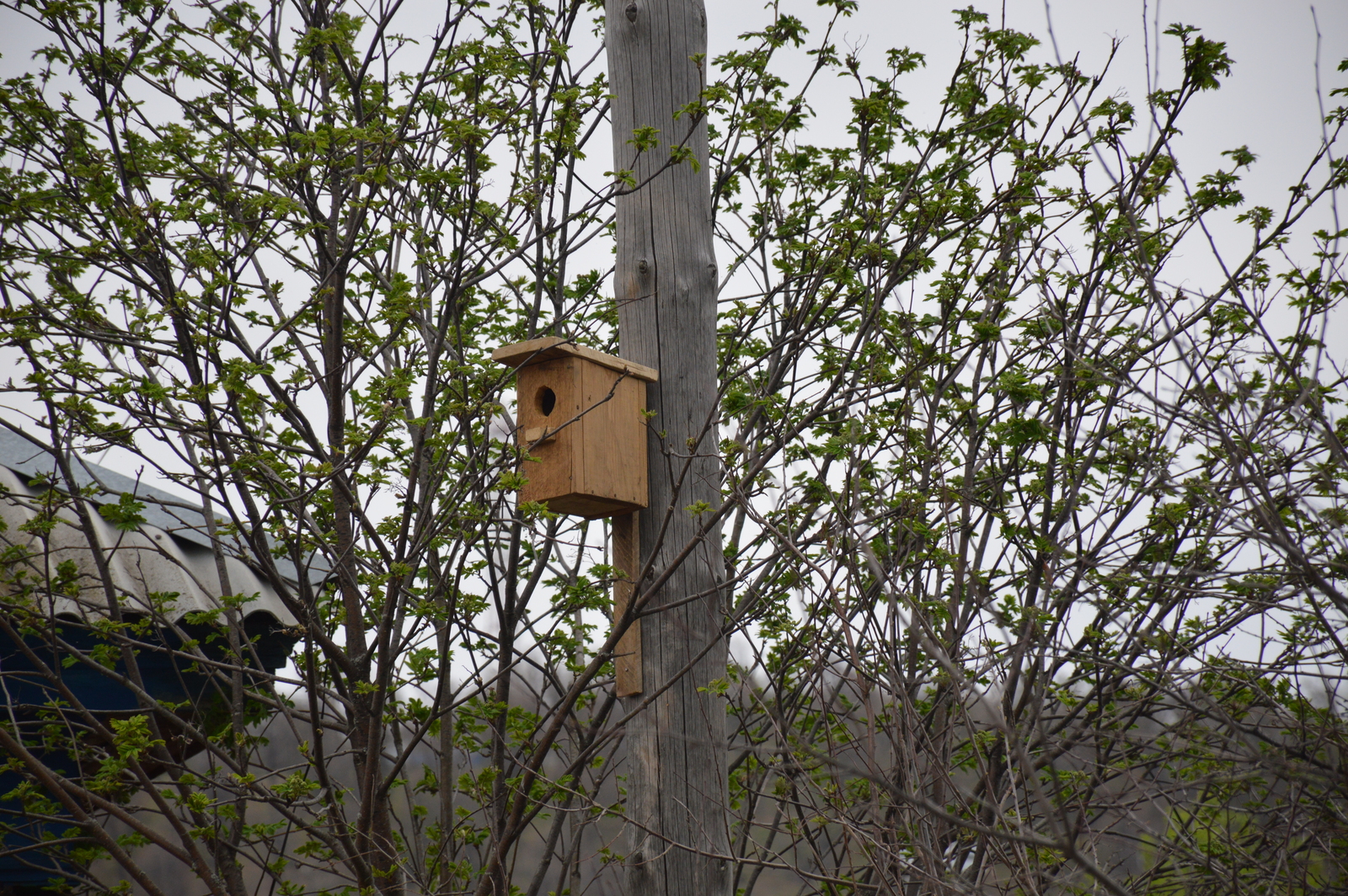 Синоптики сообщили о погоде в Башкирии на этой неделе
